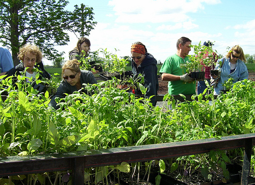 Community Garden