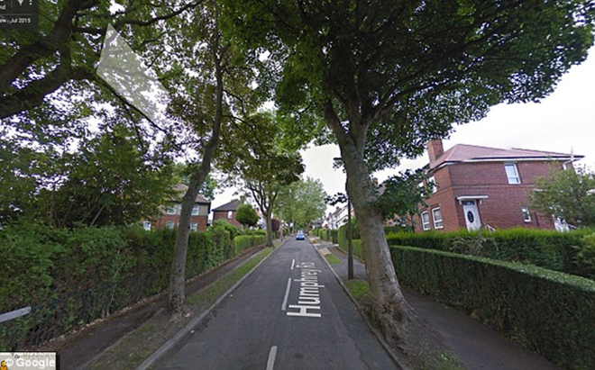 Avenue with trees